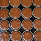 Chocolate Crumpets (6-Pack) by Merna